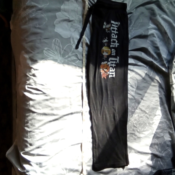 Attack on Titan Funimation sweats - Picture 2 of 4